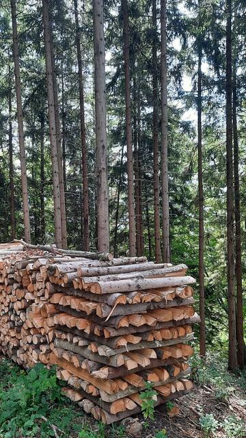 der nächste Winter kommt bestimmt 
(hoffentlich reicht es aus...)
©Edeltraud Fleisch 
