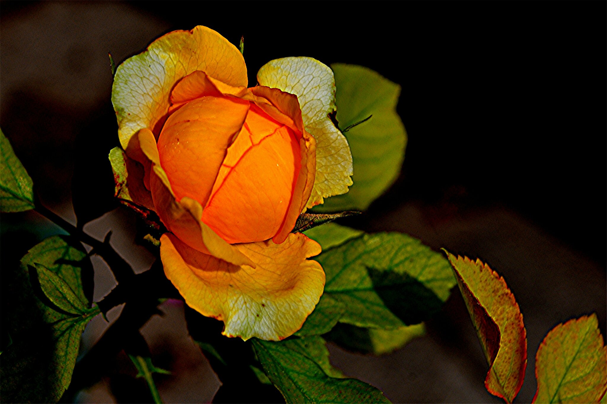 Ich Wünsch Ihnen Ein Schönes Wochenende www.meinbezirk.at