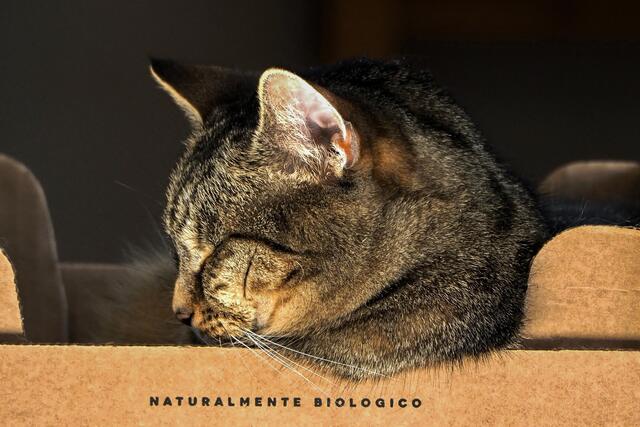 Metallfrei - ökologisch und nachhaltig!