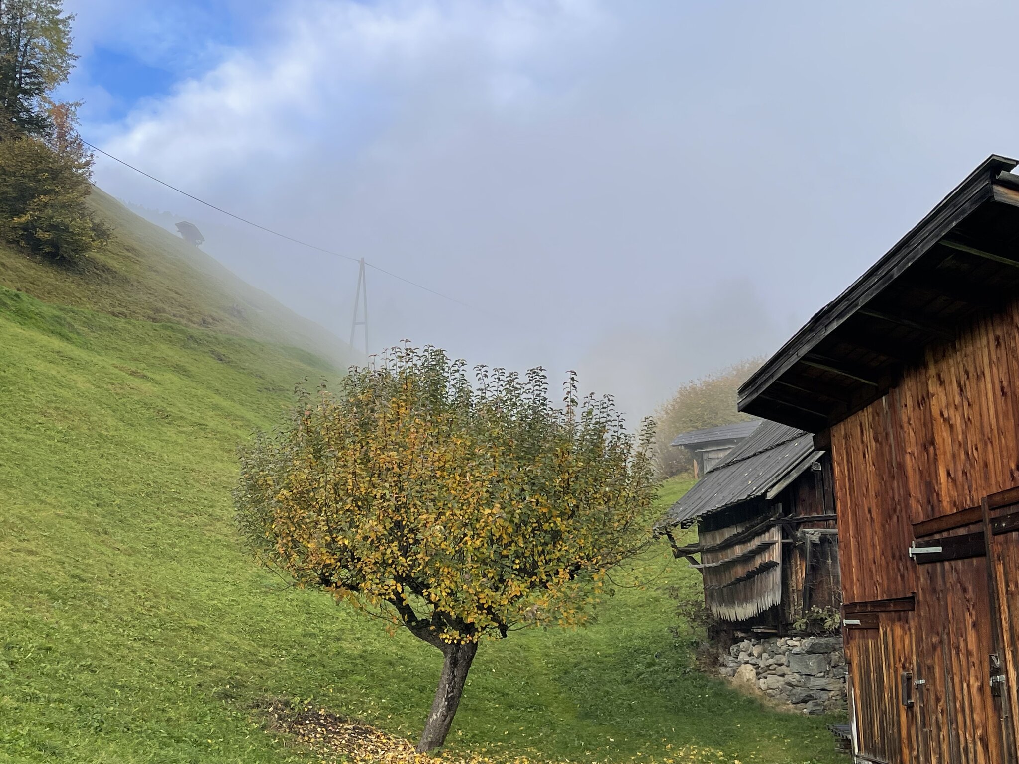 Herbstspaziergang in Hochgallmigg