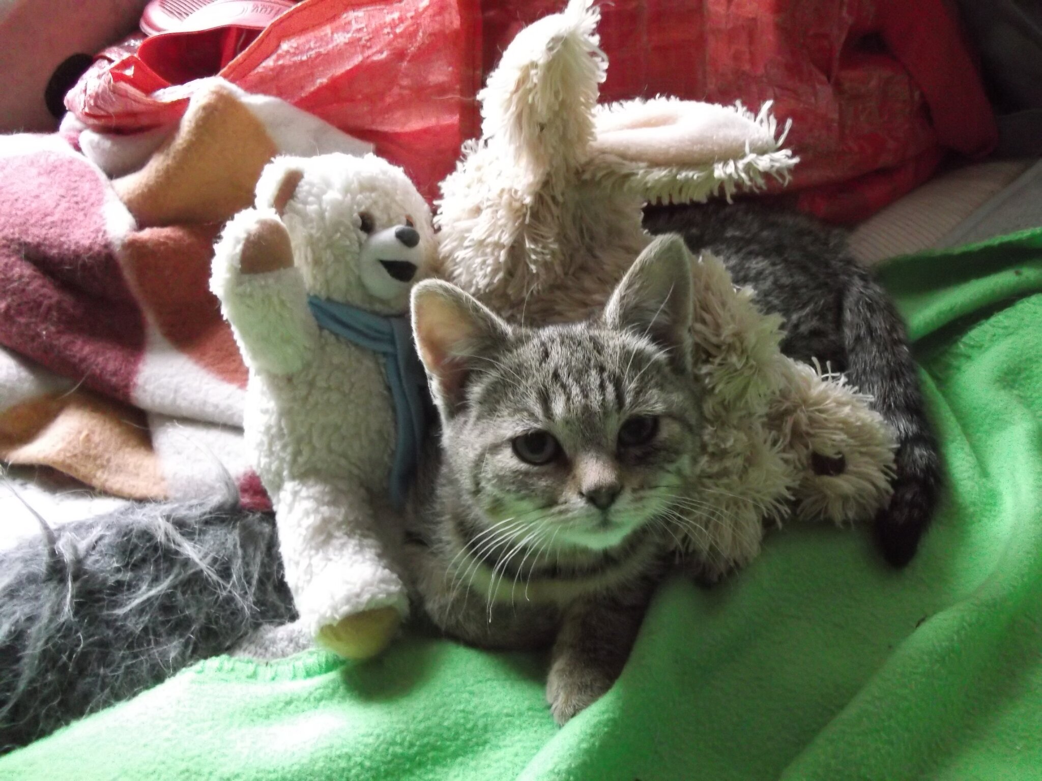 Ich und meine Freunde