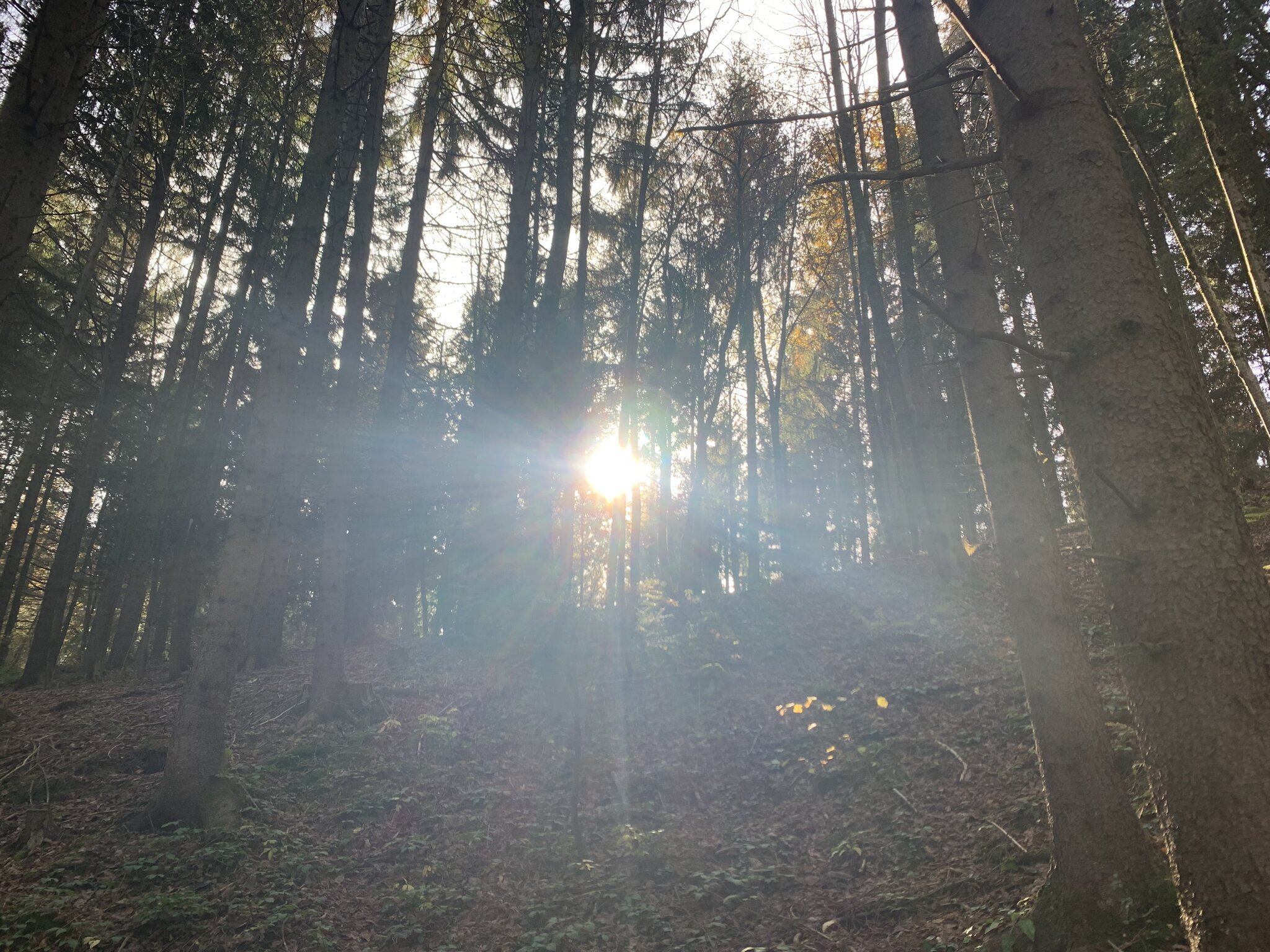 Ich Wünsche Allen Ein Schönes Wochenende Wünsche Euch allen ein schönes Wochenende!