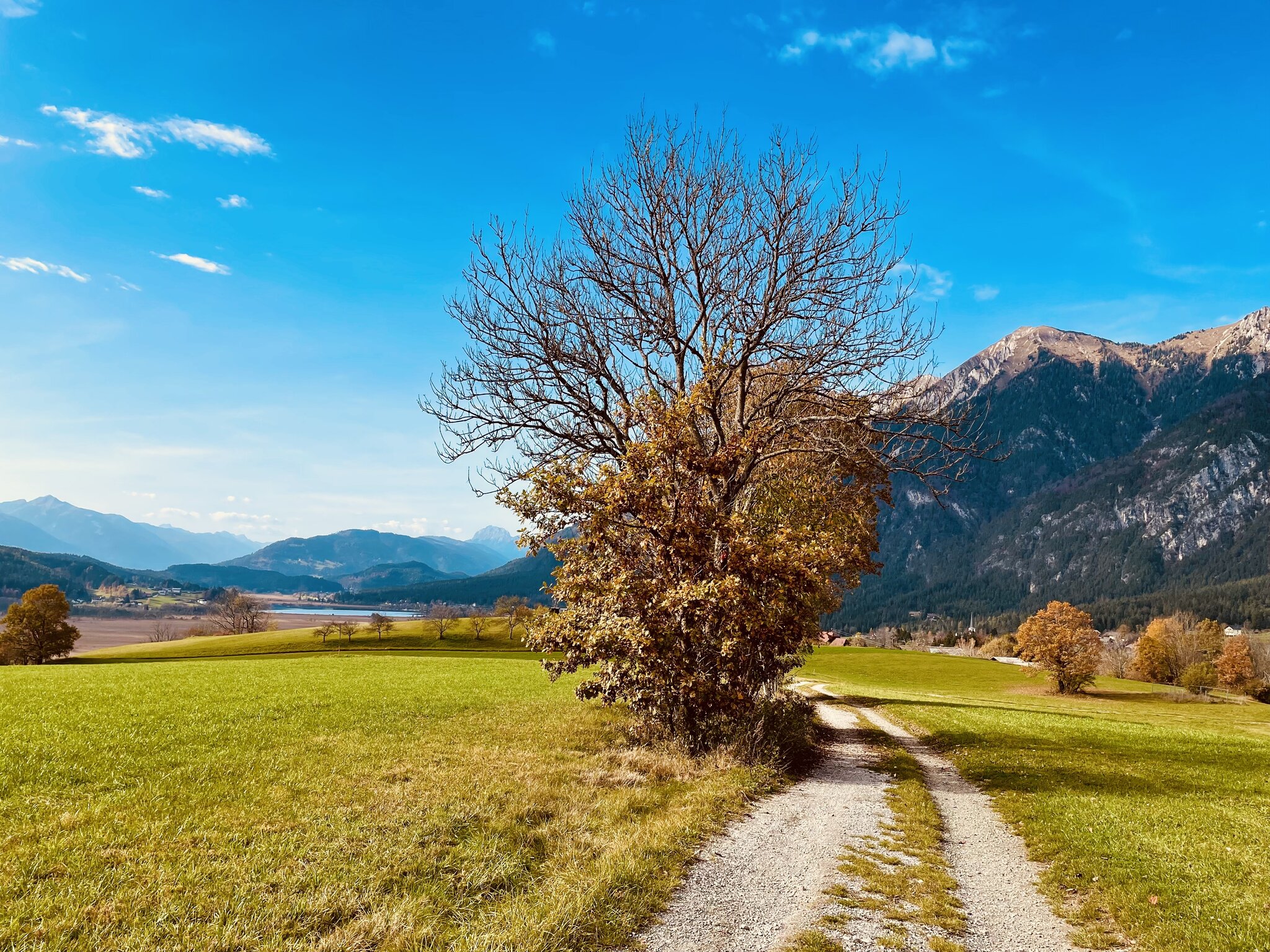 Puzzle „Herbstzauber“ – 1000 Teile Landschaftsfotografie Von Stefan Hefele
