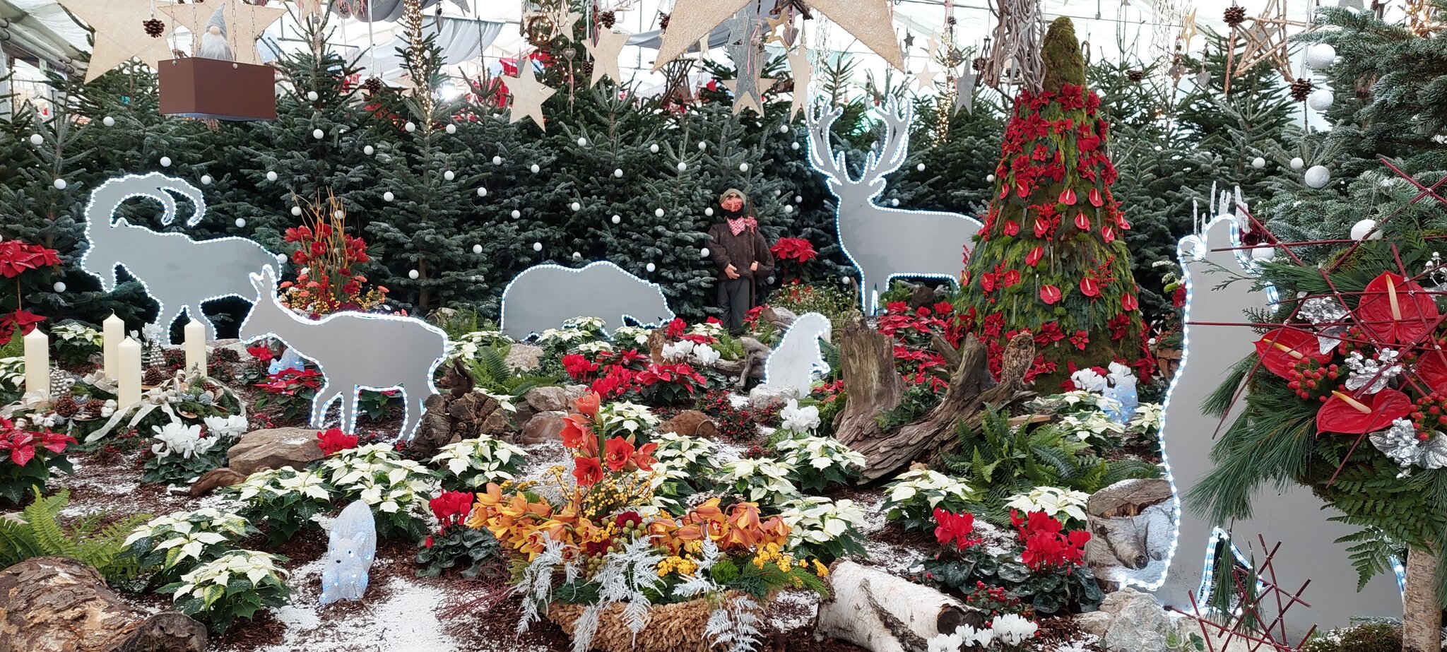 Adventausstellung Hirschstetten Blumengärten 2022