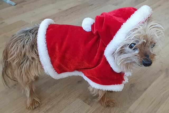 Foto: Robert Rieger Photography 