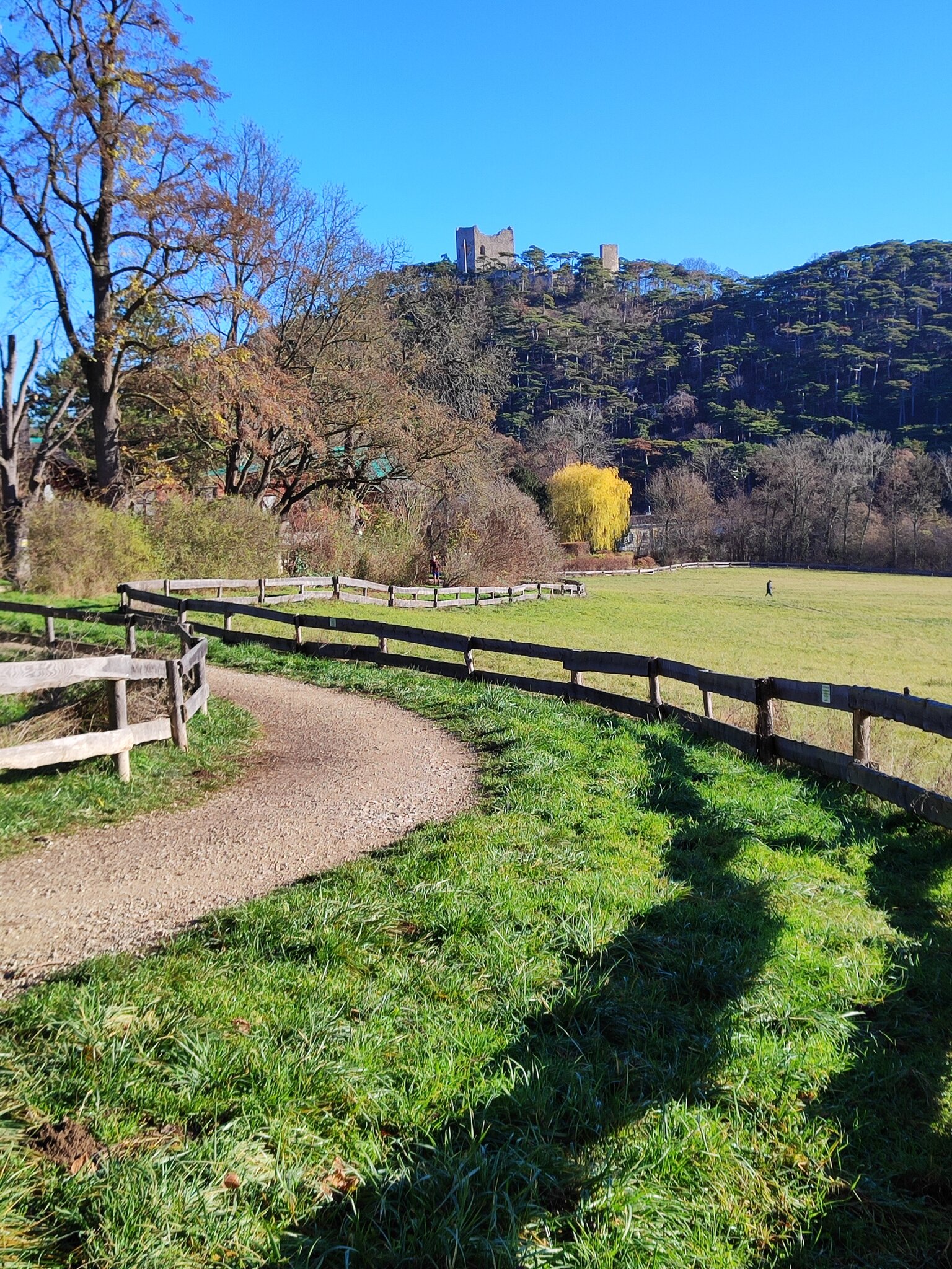 Spaziergang an der Meiereiwiese...
