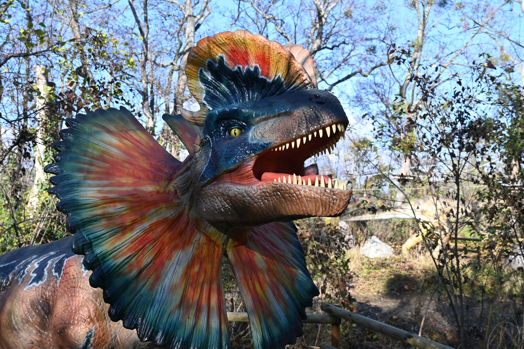 Bunter Dino im Dumba Park, Tattendorf