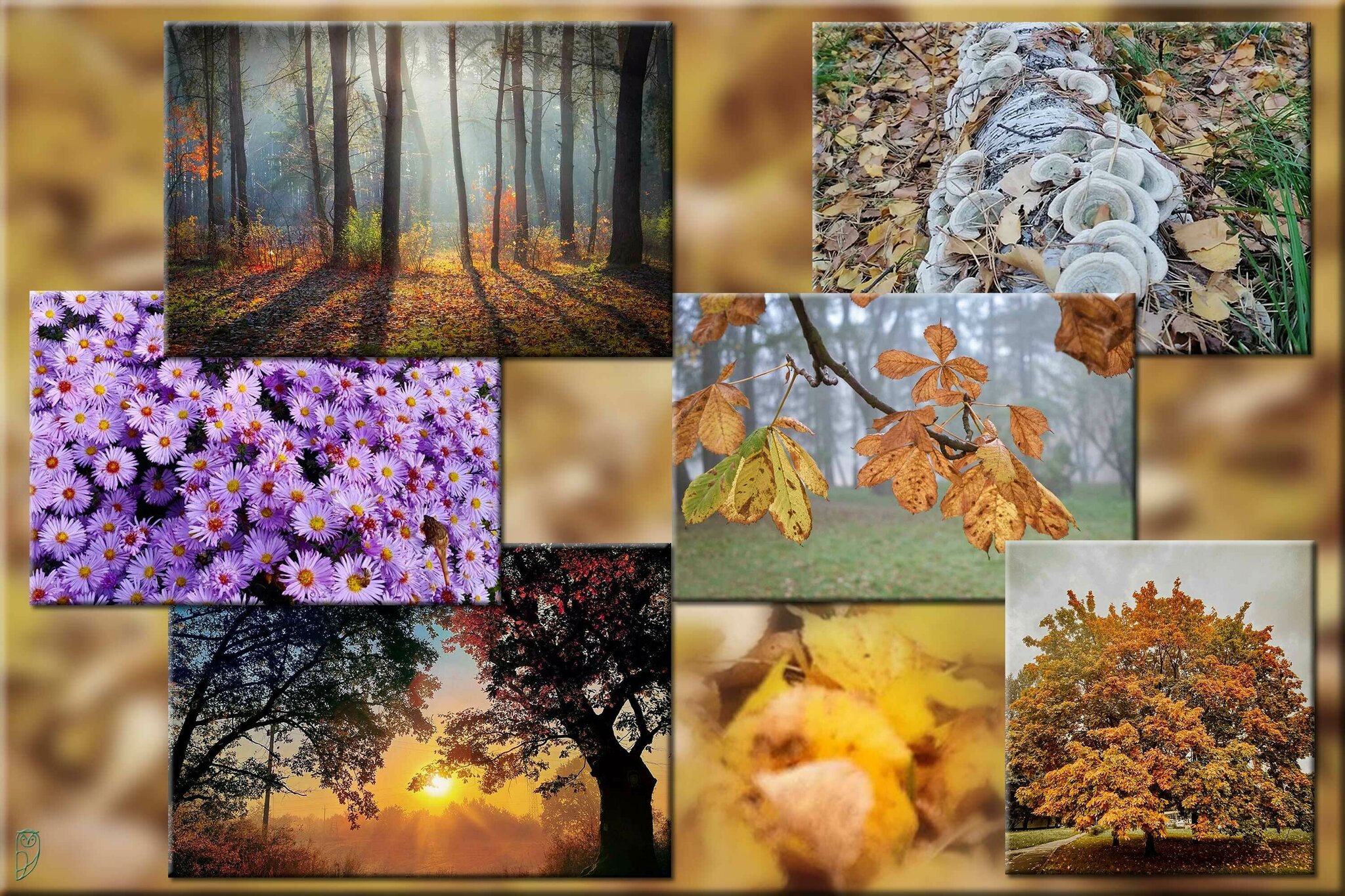 Der Herbst ist nicht das Ende. Der Herbst ist....