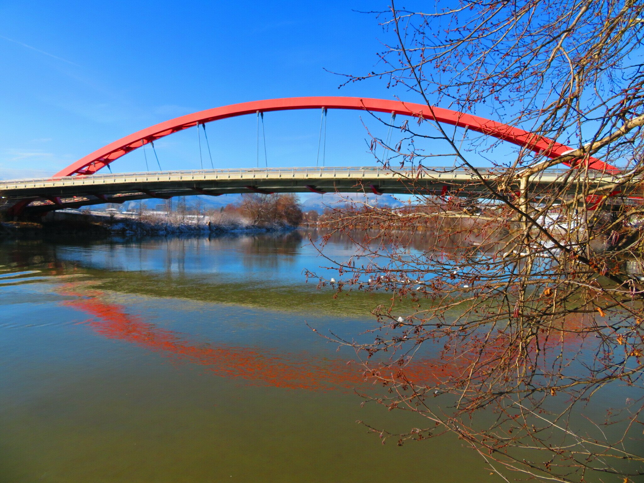 Produktbild von Finder 93er Serie Brücke – 20 Rote Klemmbrücken Für Relaissockel