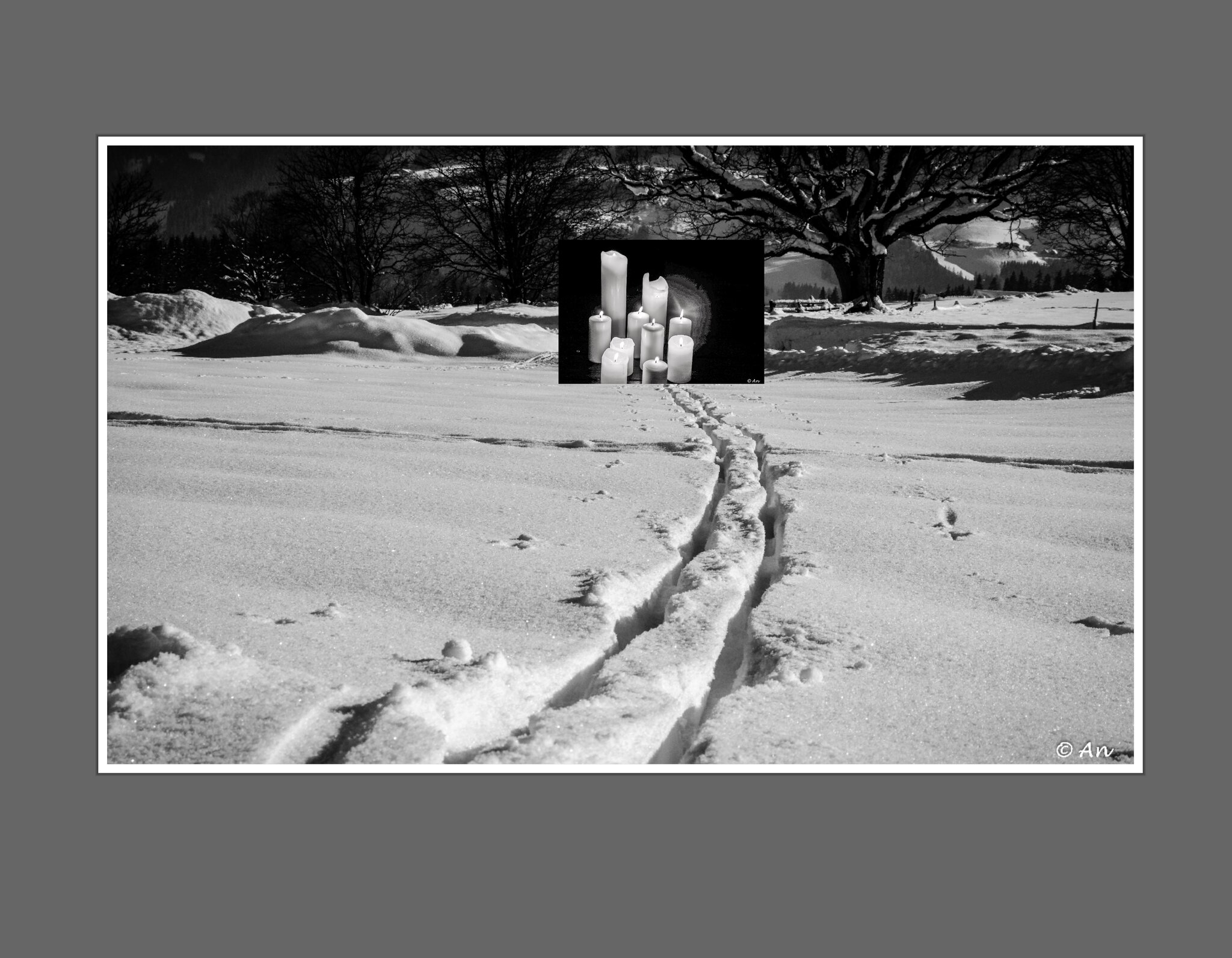 Als ich Christtagsfreude holen ging