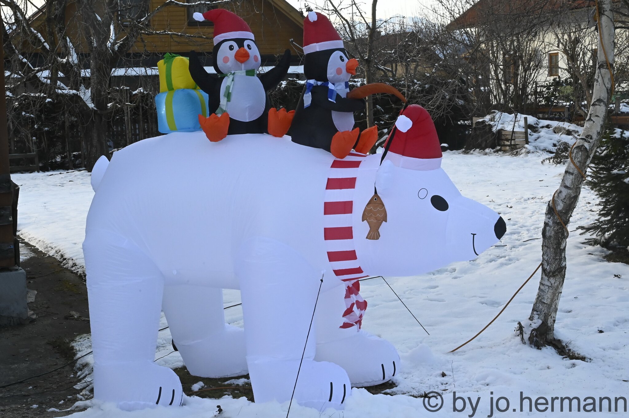 Fühlt ER sich da wohl