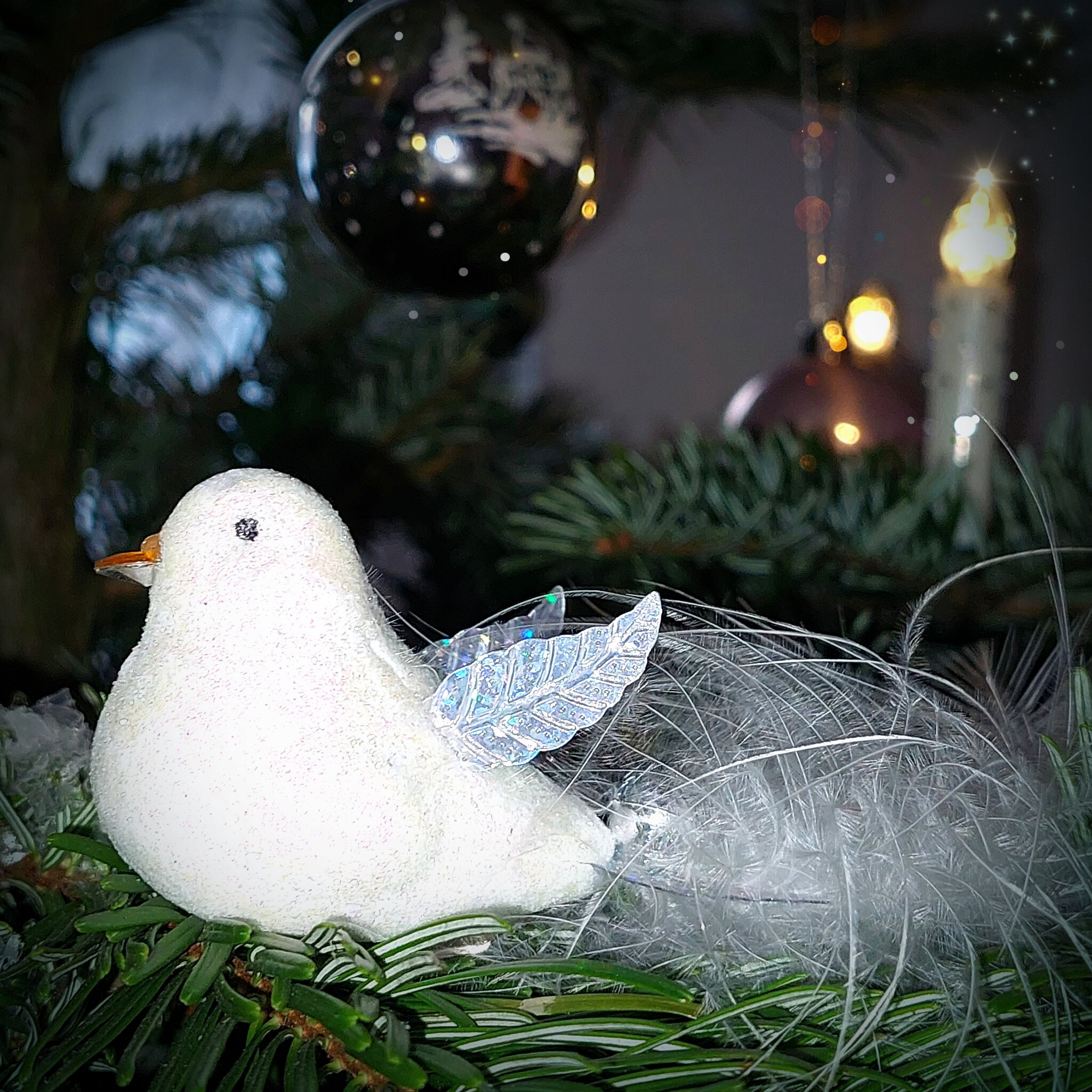 Liebste Weihnachtsgrüße