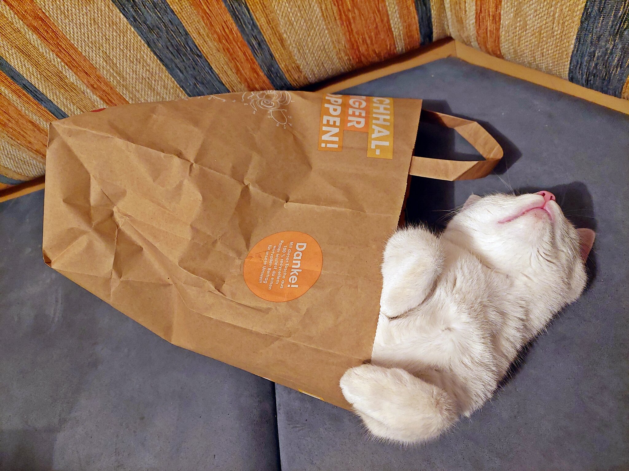 Katze im Sack....