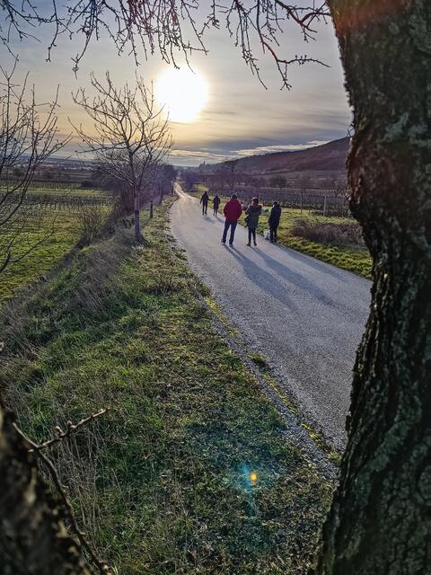 So schön ist das Burgenland. Stimmungsvoller Familien-Spaziergang am Kirschblütenweg von Donnerskirchen 