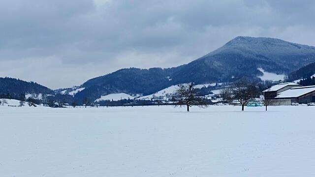 Jetzt ist er da, der Winter im Pielachtal. Endlich schaut die Natur bezaubernd aus in seinem weißen Winterkleid.