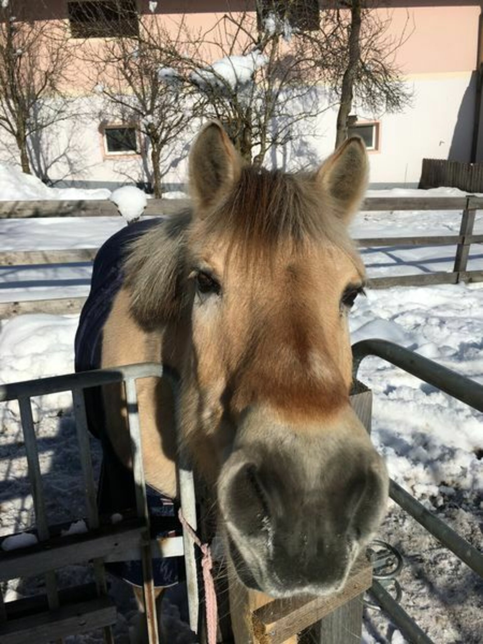 Wünsche euch einen schönen Tag!