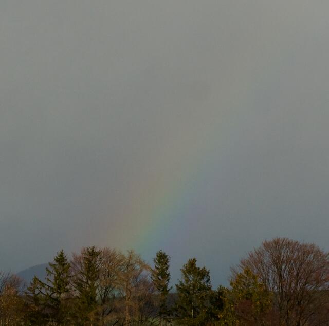 Ein Hauch von Regenbogen. | Foto: Santrucek