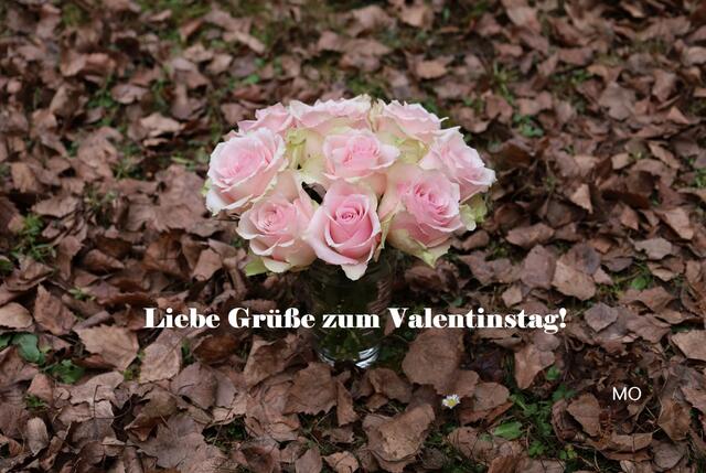 Liebe Grüße zum Valentinstag! Liebe Grüße zum Valentinstag!
