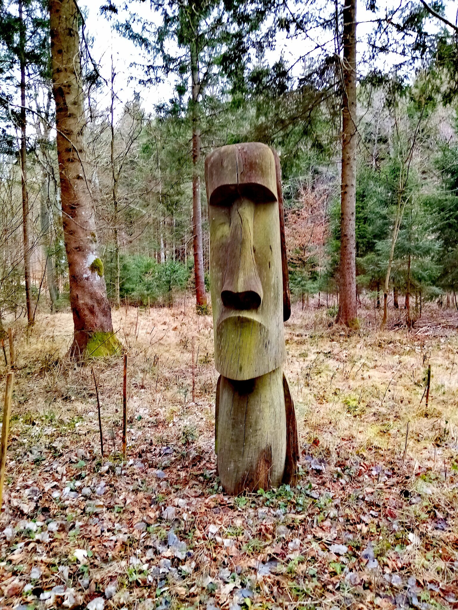 ein männlein steht im walde text und noten