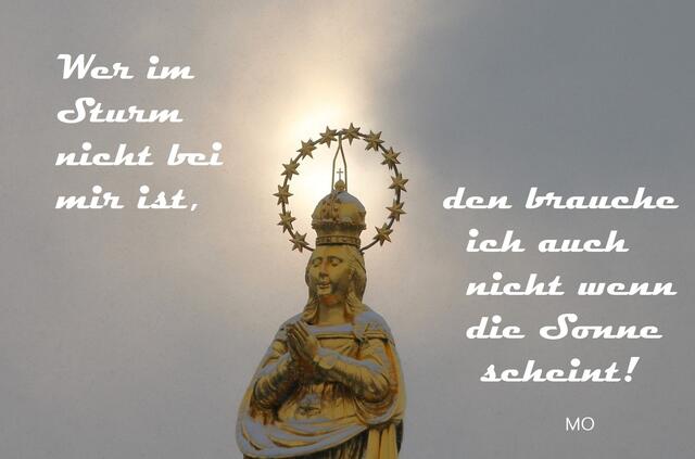 Spruch des Tages!