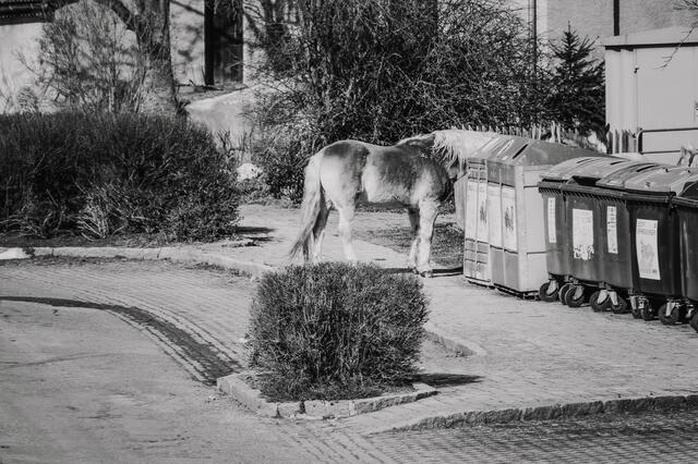 Street Photography meets Dorf | Foto: Sigrid Bauer Fotografie