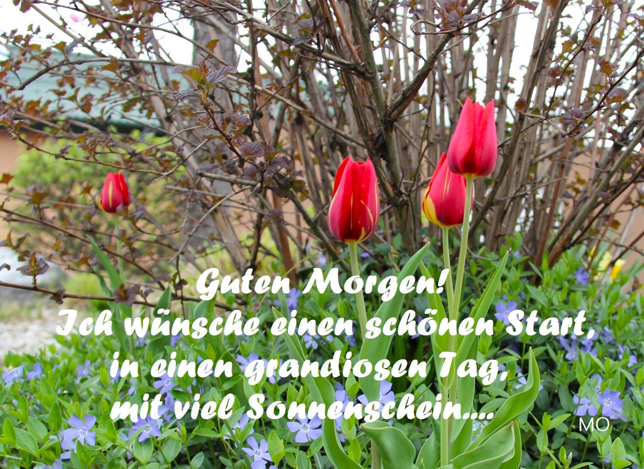 Ich Wünsche Dir Einen Guten Start In Den Tag Guten Morgen und einen schönen Start in den Tag!