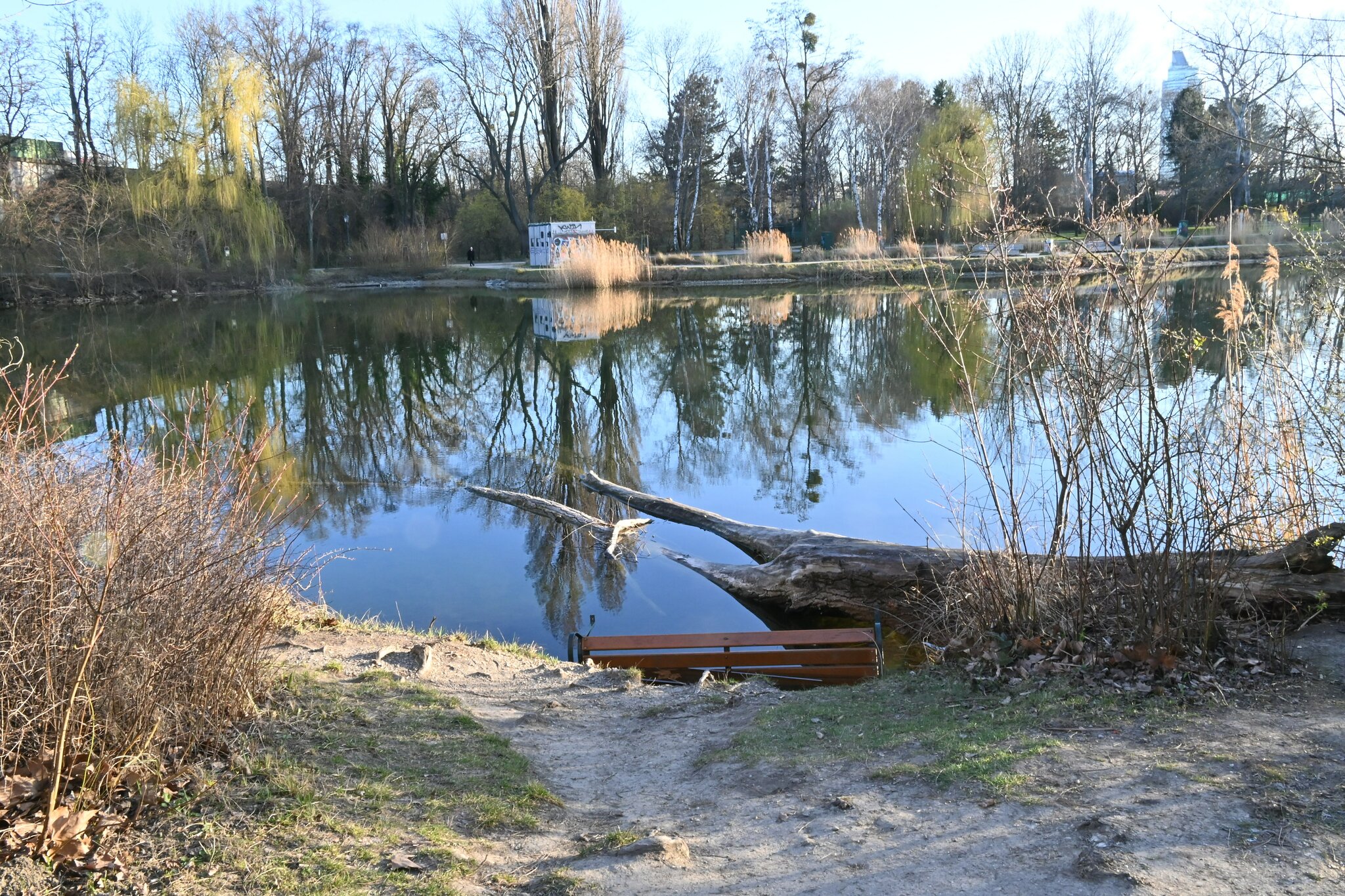 Bank im Wassermuss das sein?