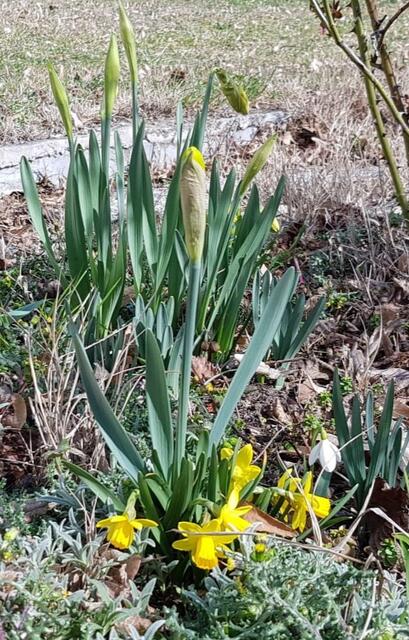 Foto: Gabi Holnsteiner 