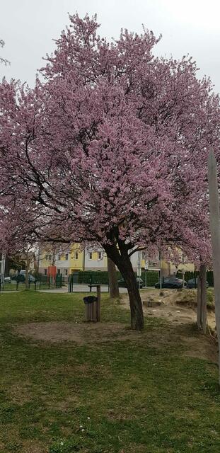 Foto: Gabriele Holnsteiner 