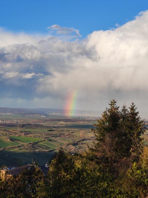 Das Leben ist wie ein Regenbogen. Man braucht die Sonne und den Regen, um die Farben zu sehen.  | Foto: Rottensteiner