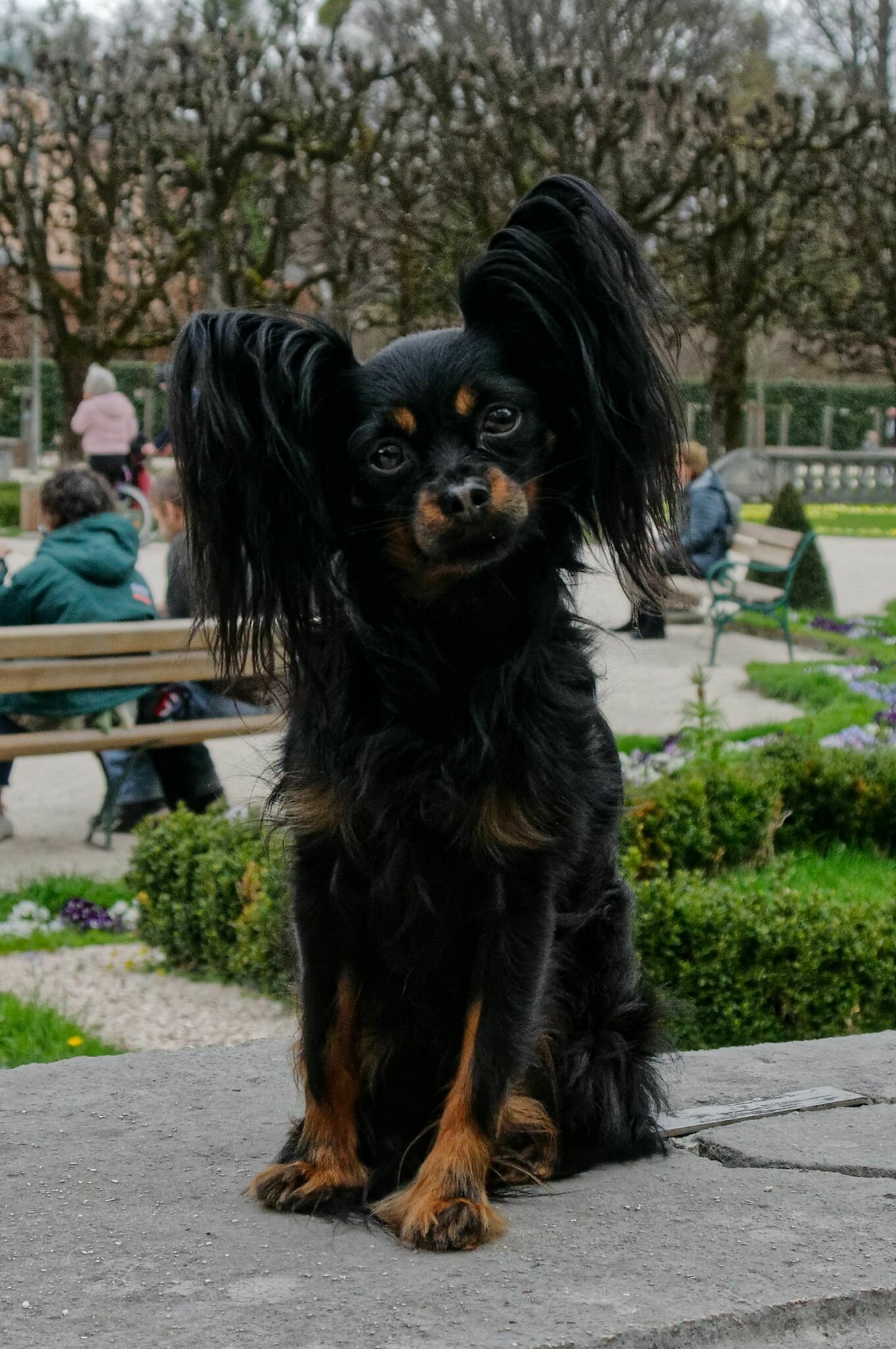 top hair - mein friseur rezensionen