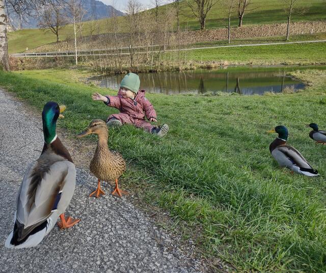Besuch am Ententeich