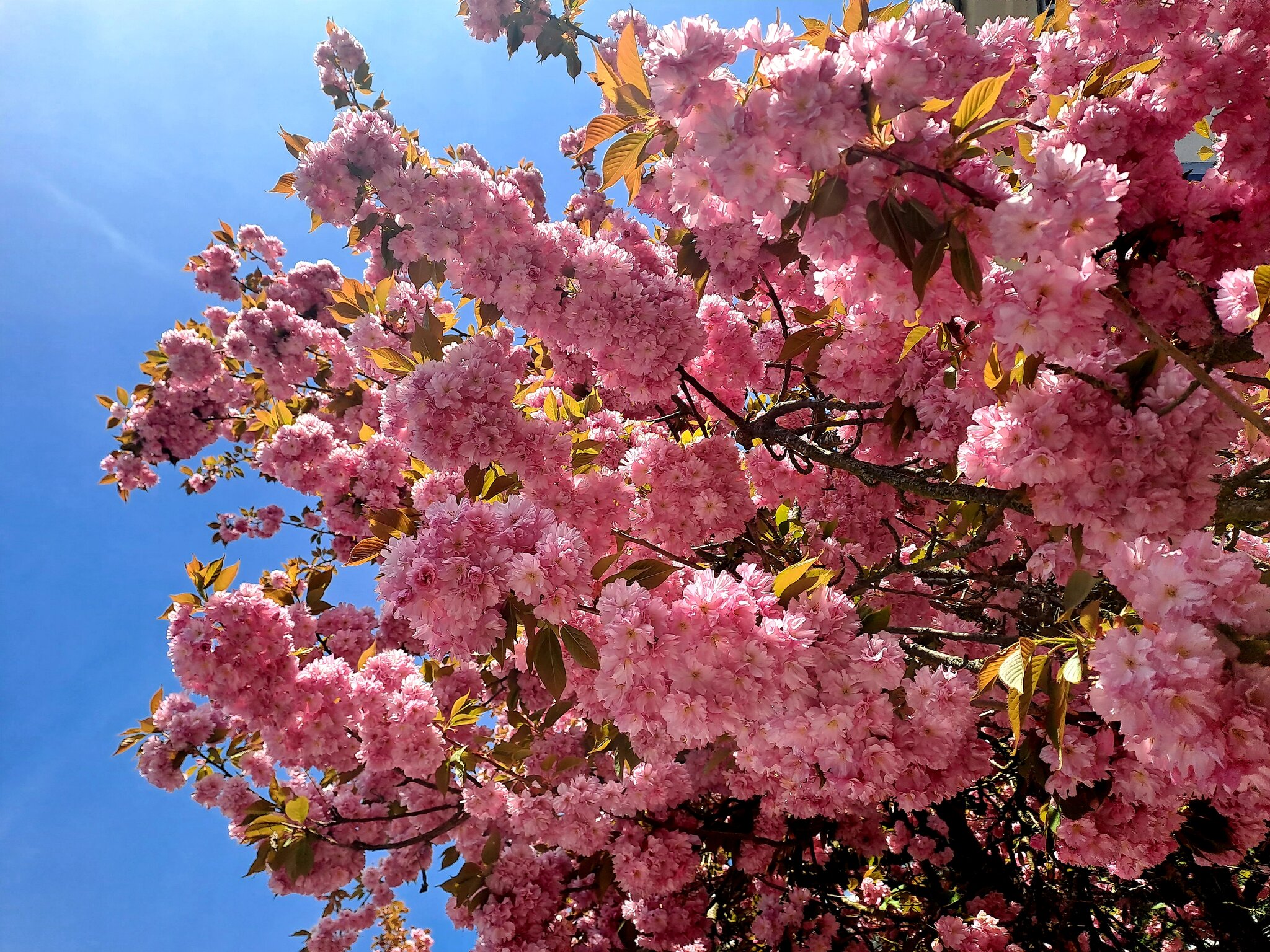 ☀️Heut gab es wieder Sonnenschein☀️
