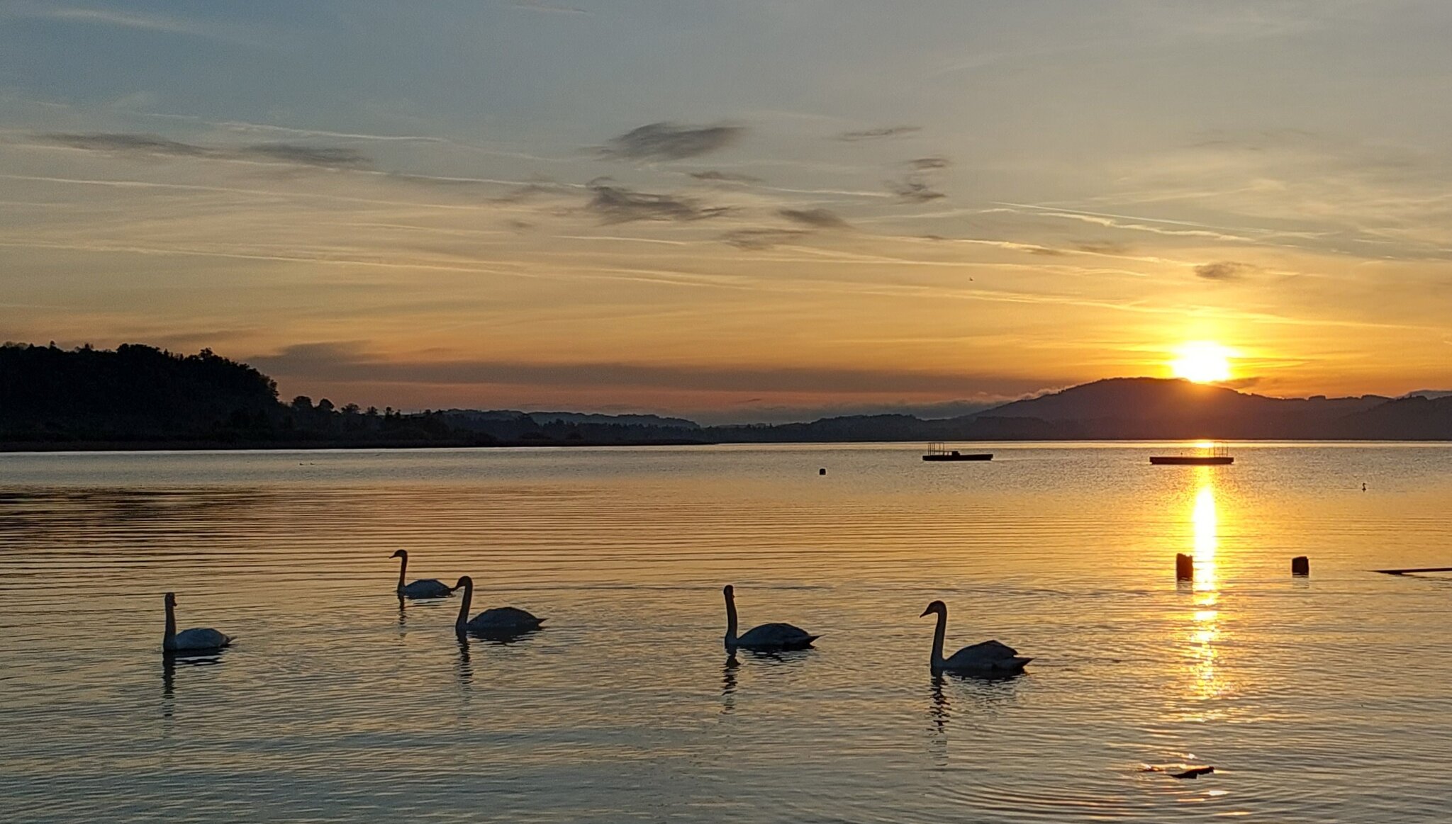 Morgenstund Hat Gold Im Mund Englisch www.meinbezirk.at