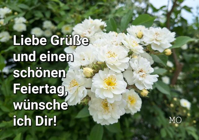 Liebe Grüße und einen schönen Feiertag! 
