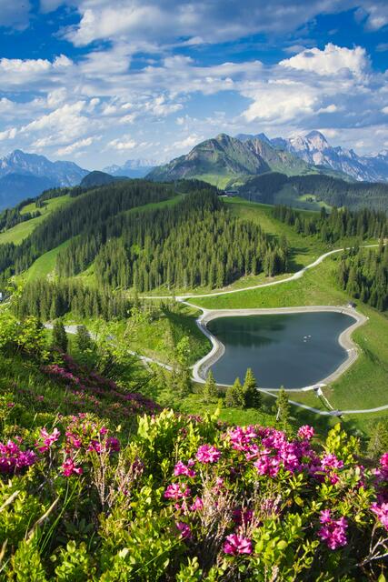 In dieser malerischen Kulisse scheint die Zeit stillzustehen, während die Natur ihre volle Schönheit entfaltet.