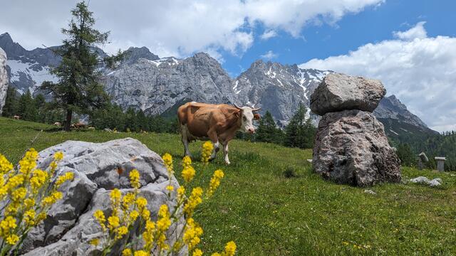 Bergidylle bei der Walcheralm am Fuße des Dachstein 
