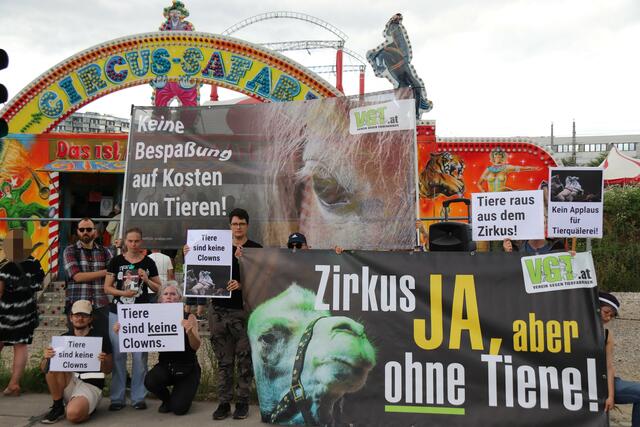 Die Tierschützer:innen des VGT fordern ein Tierhaltungsverbot wegen wiederholter Tierquälerei im Zirkus Safari!  | Foto: VGT.at