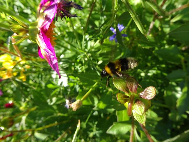 verborgene wunderschöne Welten