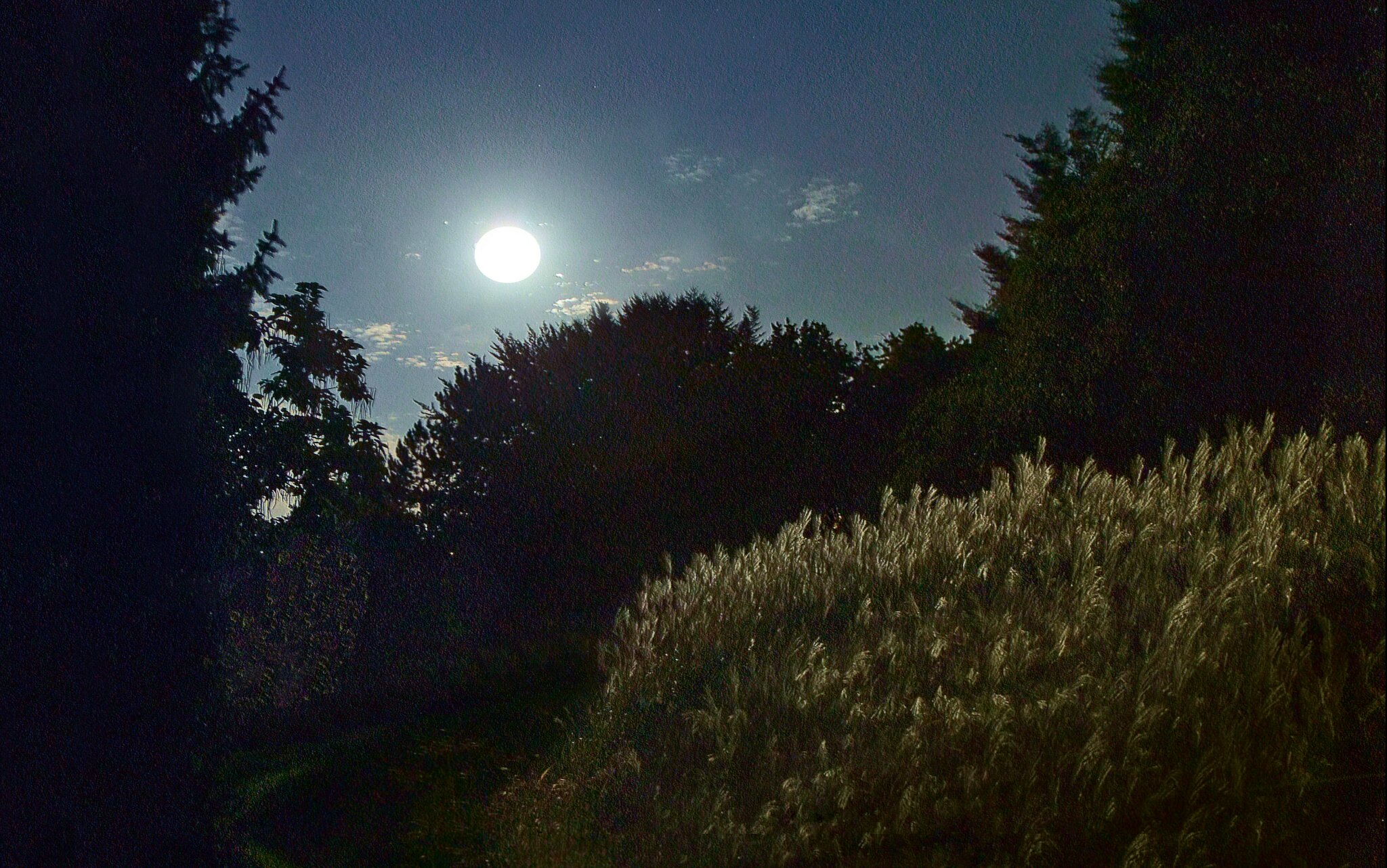 In der Stille der Nacht