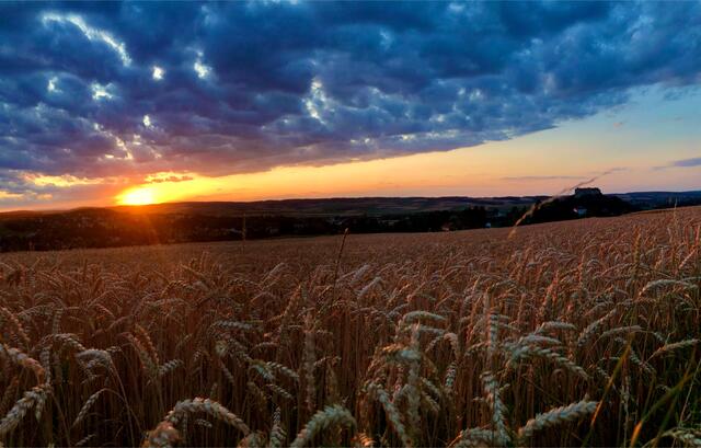 Sonnenuntergang in Neulengbach 