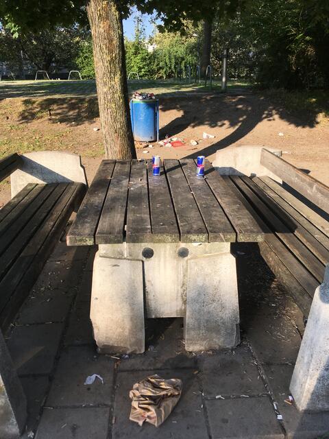 Montag früh morgens an der Donaupromenade auf Höhe der Brigittenauerbrücke. Weitere Mistkübel wären noch sehr aufnahmefähig gewesen. | Foto: Friederike Bunyai