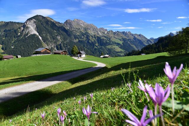 Unterhalb der Wandfluhhütte in Sonntag Stein befindet sich dieses wunderbare Plätzchen.