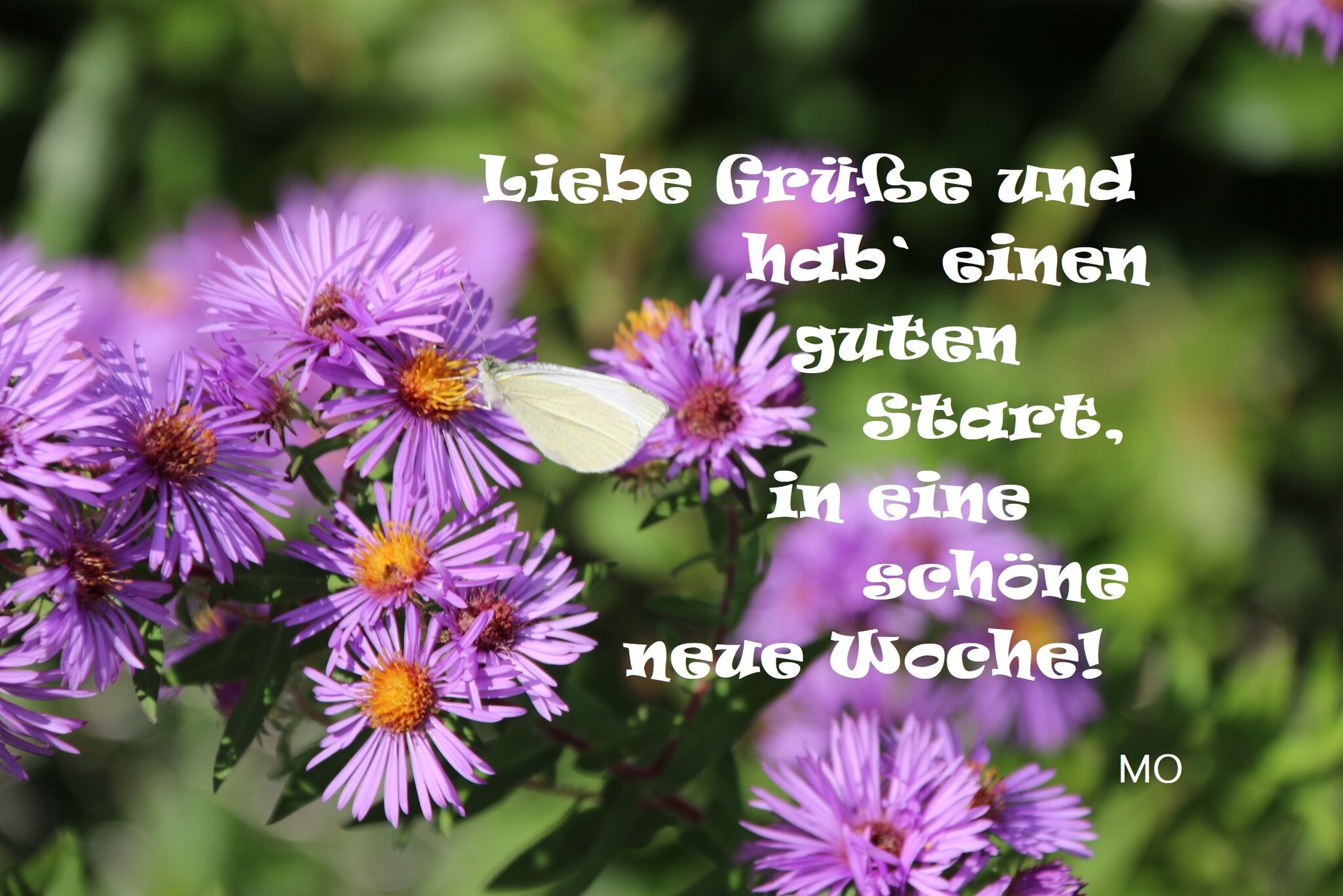 Gute Nacht Und Guten Start In Die Neue Woche Einen guten Start, in die neue Woche!