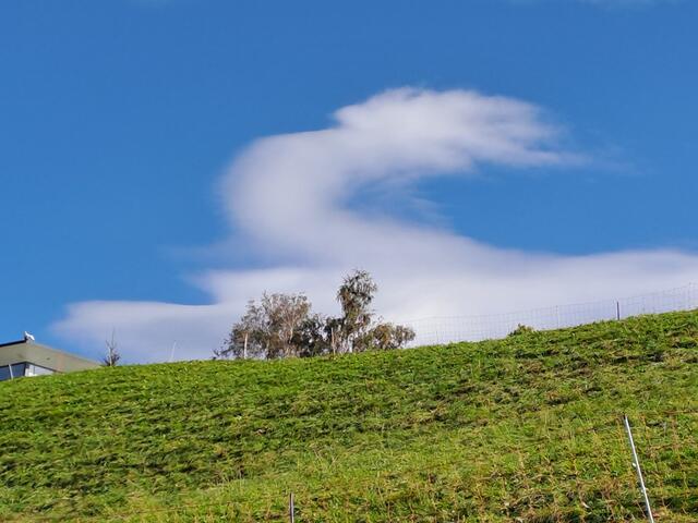 Ein kurioser "Wolkenvogel" über Aldrans  | Foto: Irene Rier 