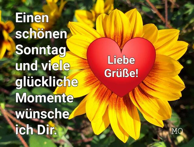 Liebe Grüße und einen schönen Sonntag!