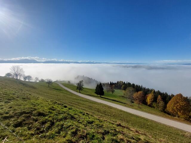 Blick vom Magdalensberg aufs Nebelmeer | Foto: Karl Nessmann