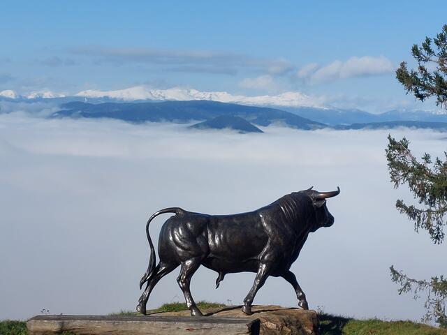 Magdalensberg | Foto: Karl Nessmann