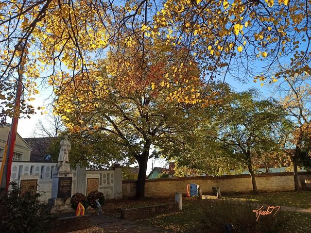 November