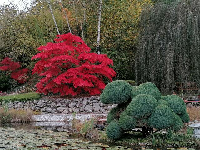 Teichanlage in Sierning